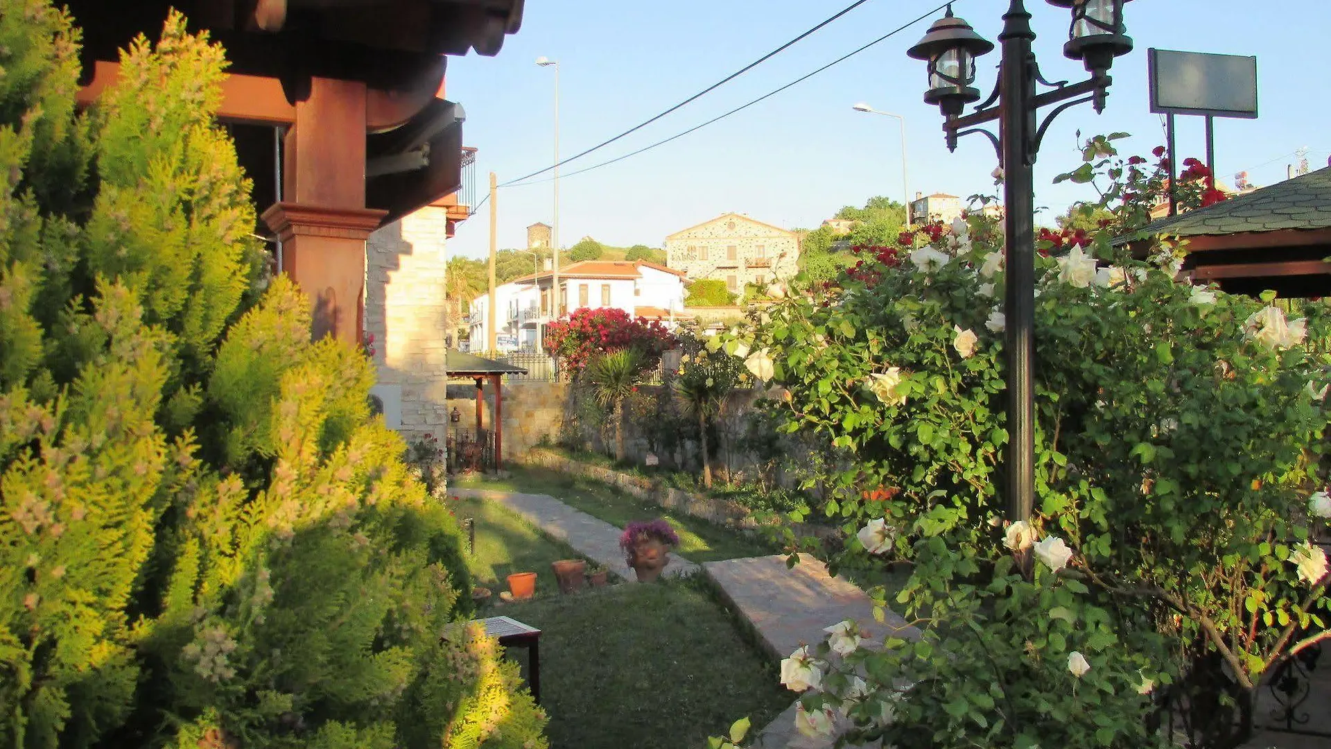 Suinn Cunda Ayvalı Türkiye